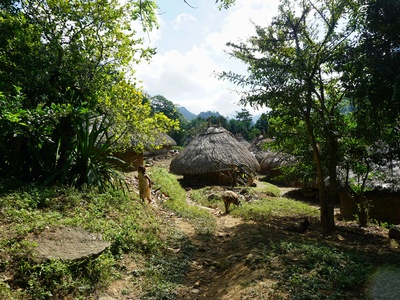 Ecosystem and Relict Cultural Landscape of Lopé-Okanda