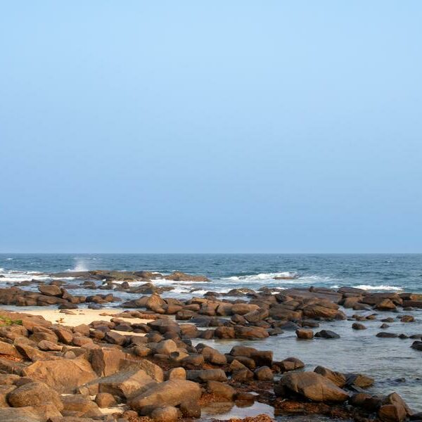 featured_image