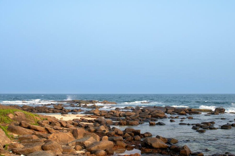 featured_image