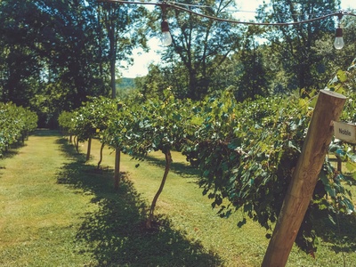 Otis Orchards-East Farms