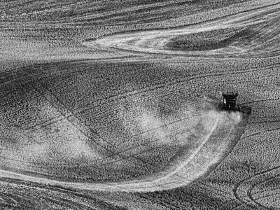 Palouse