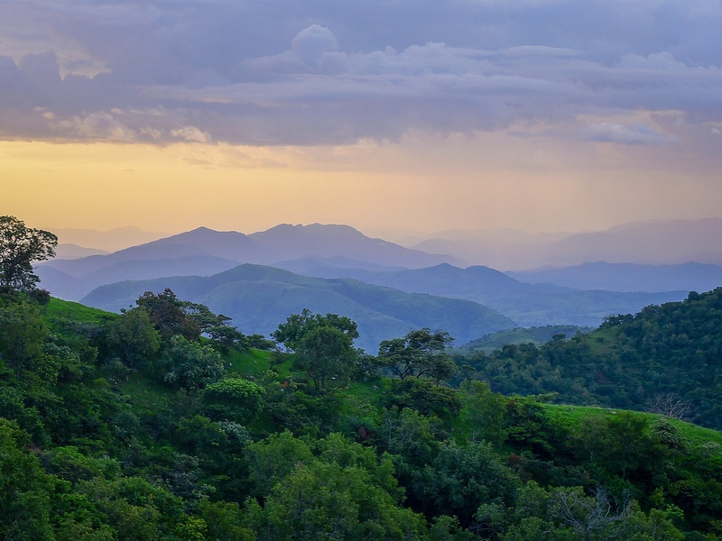 Taraba
