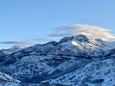 Alpine