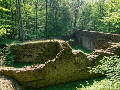 Alt-Toggenburg
