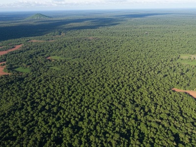 Apuí