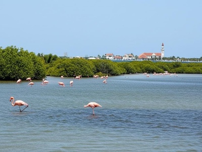 Bahía de Sisal