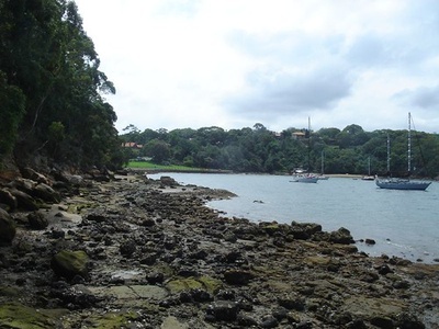 Balls Head Bay