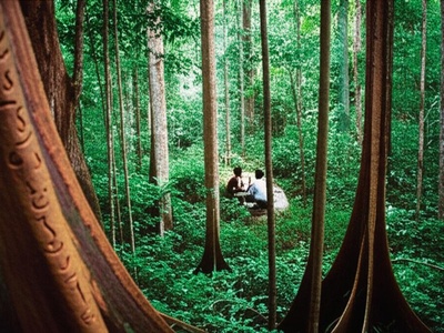 Bangandu