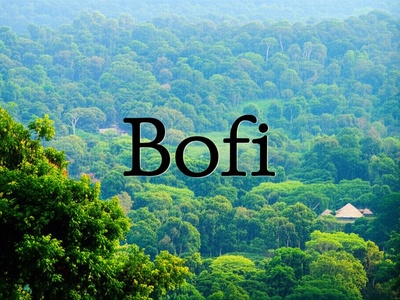 Bofi