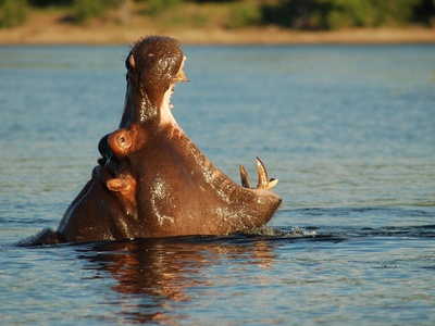 Botswana