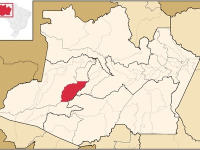 Carauari