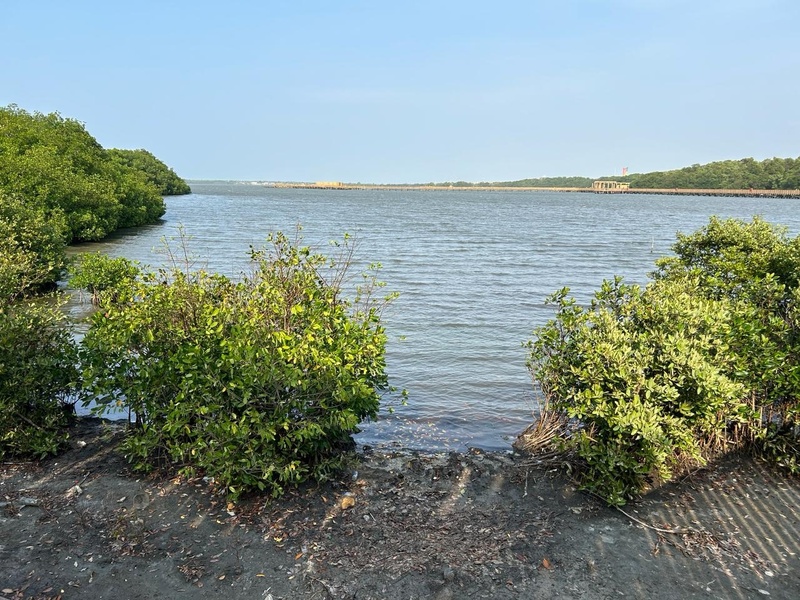Ciénaga de Mallorquín