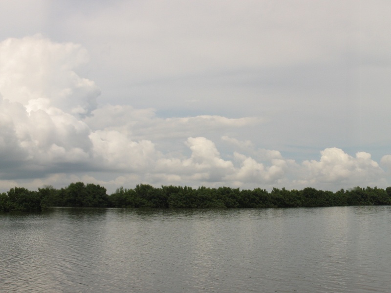 Ciénaga Grande de Santa Marta
