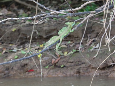 Costa Rica