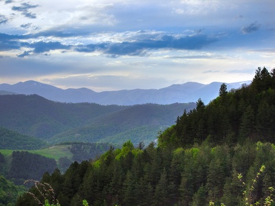 Dilijan