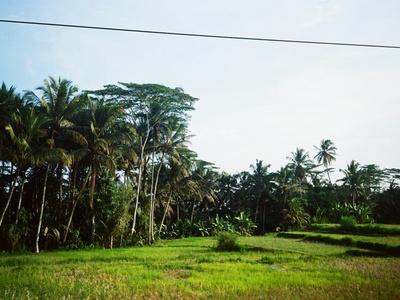 Efate, South