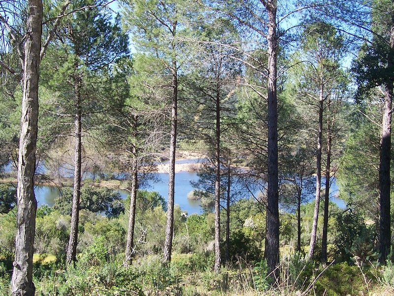 Embalse de Cijara