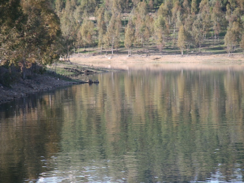 Embalse de Orellana