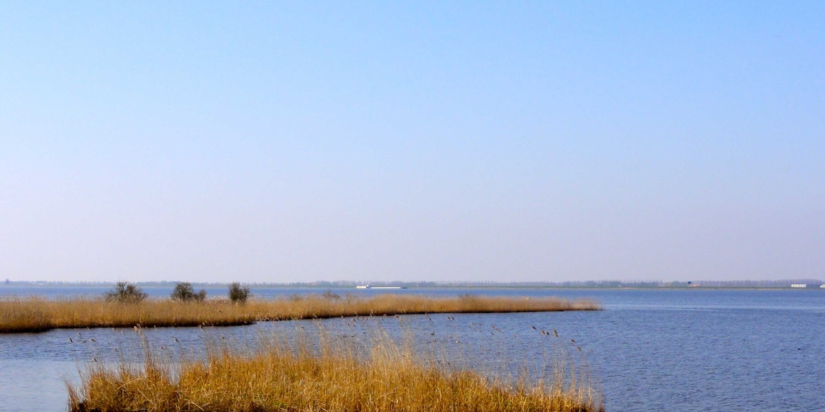 featured_image
