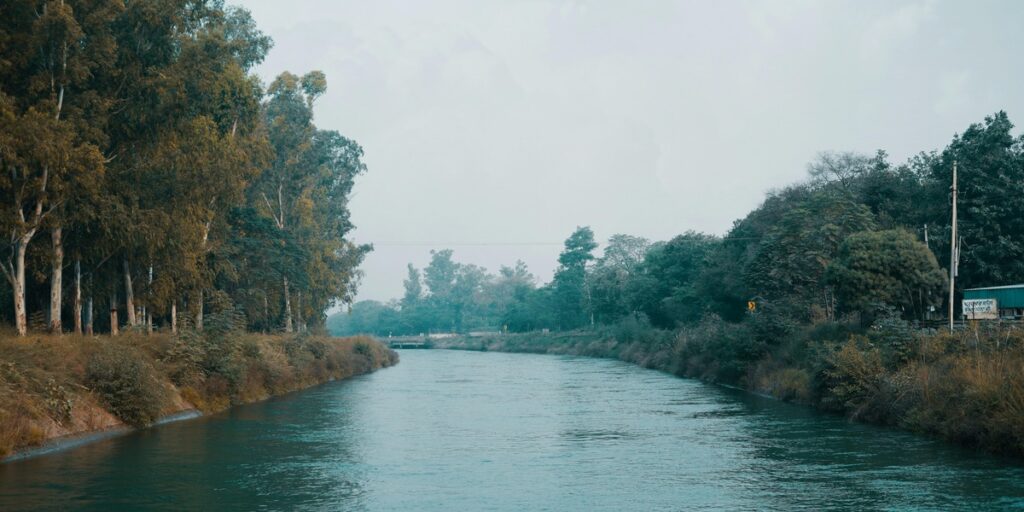 featured_image