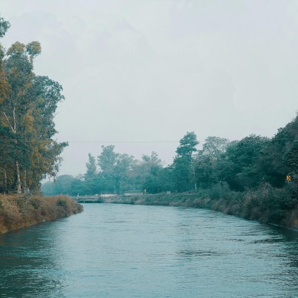 featured_image