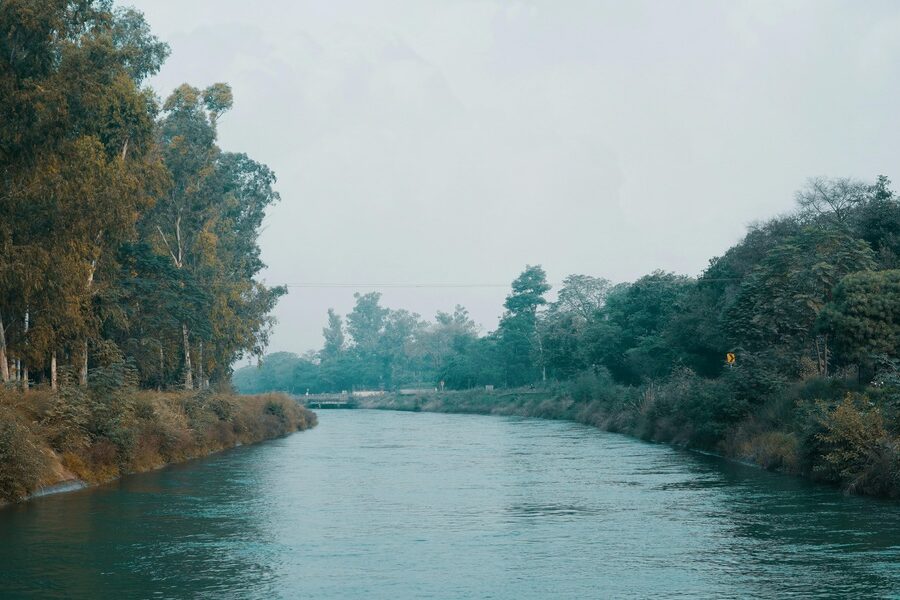 featured_image