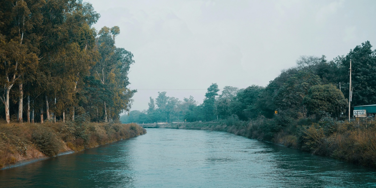 featured_image