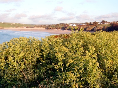 Harlyn Bay