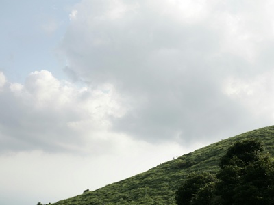 Higaonon