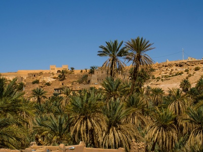 Incense Route – Desert Cities in the Negev