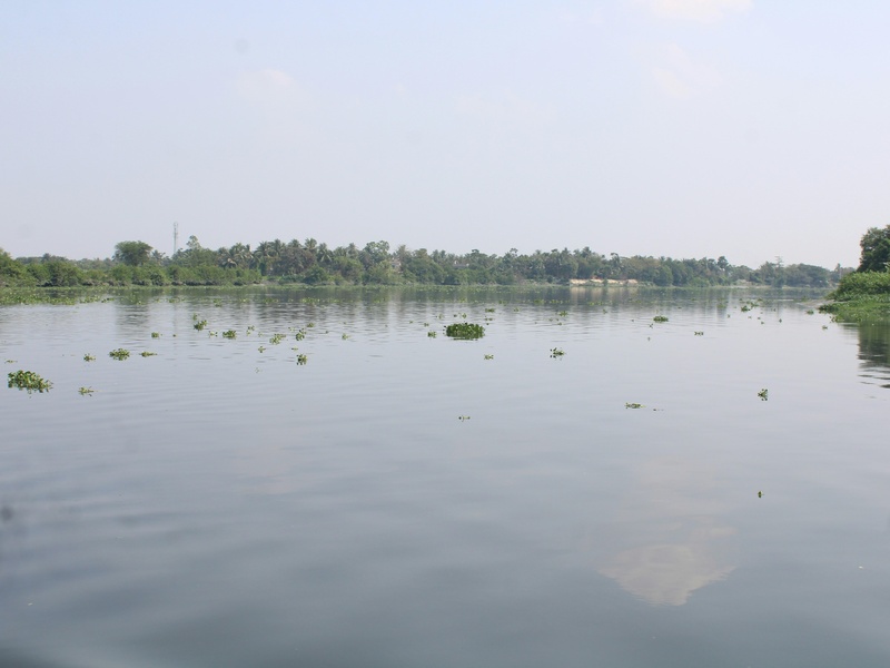 Jaghbub Lake