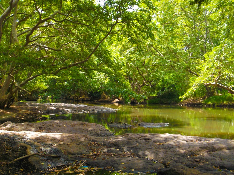 Kala Oya