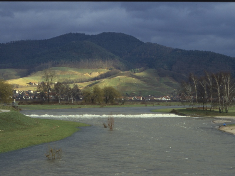 Kinzig (Baden)