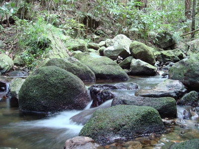 Kuku Yalanji