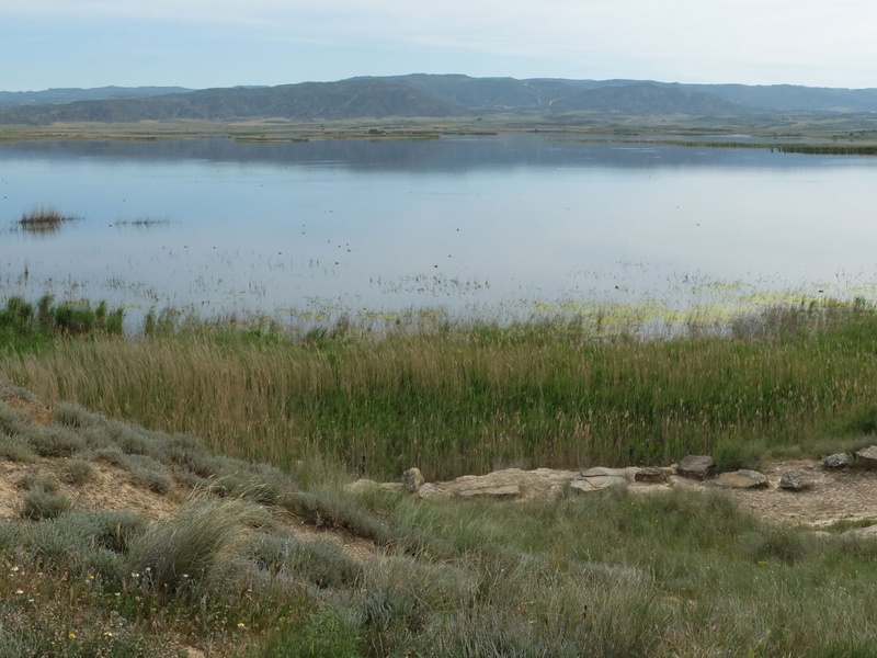 Laguna de Pitillas