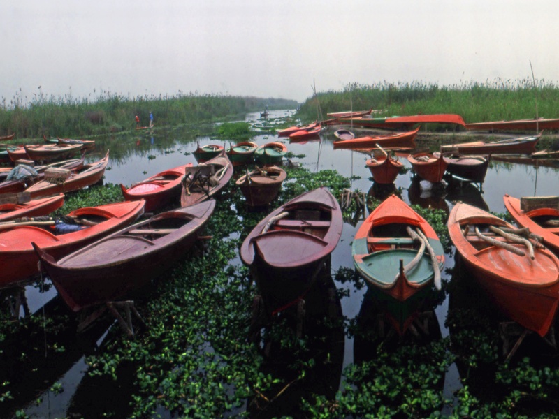 Lake Idku