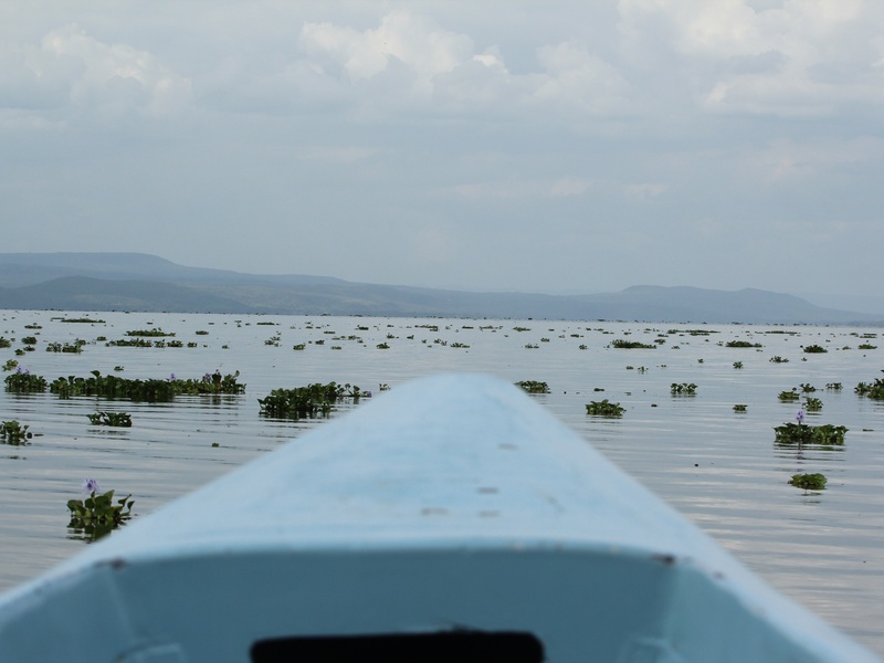 Lake Naivasha