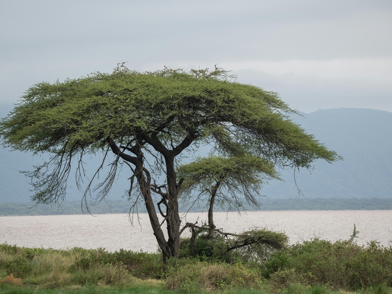 Lake Turkana