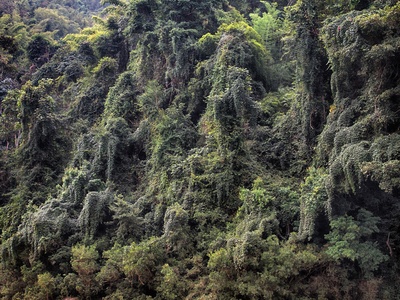 Laos