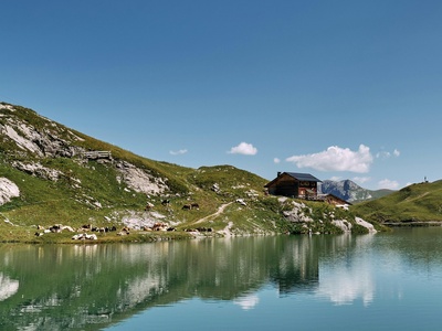 Lech