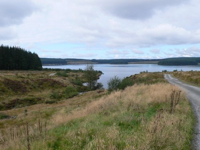 Llyn Brenig