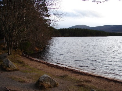 Loch Garten