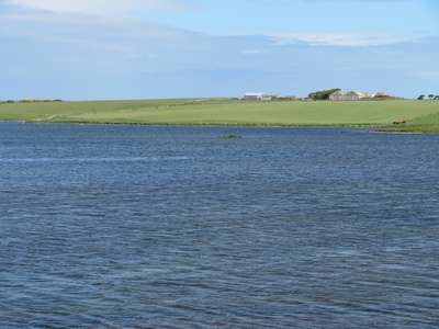 Loch of Harray