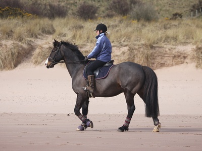 Lunan Bay