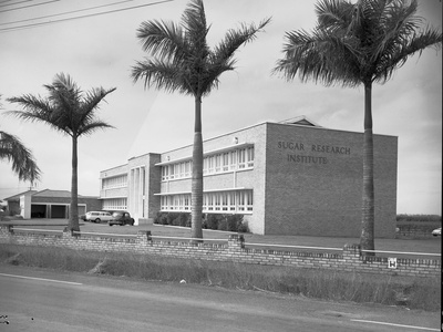 Mackay