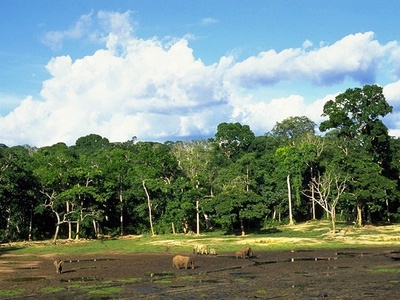 Manovo-Gounda St. Floris National Park