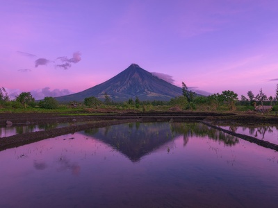 Mayon