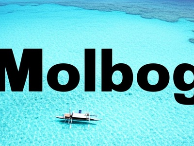 Molbog