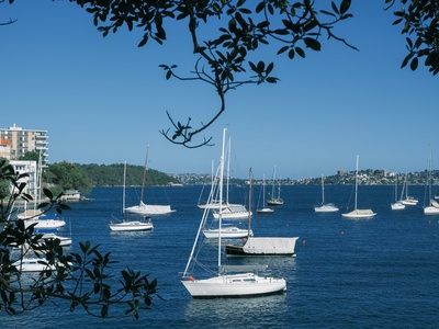 Mosman Bay