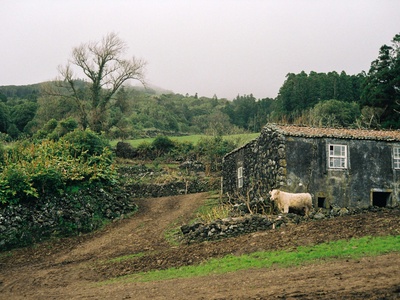 Muskerry (Múscraí) Irish